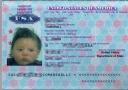 marshalls-passport-mod_blog2.jpg